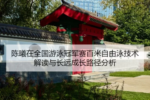 陈曦在全国游泳冠军赛百米自由泳技术解读与长远成长路径分析