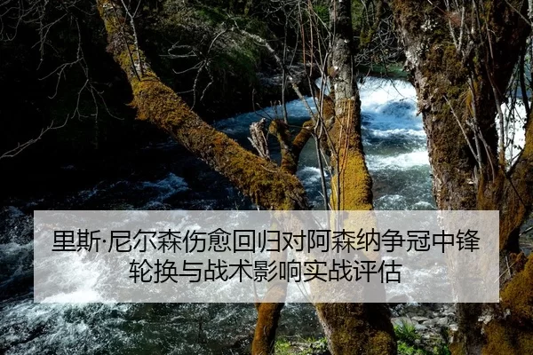 里斯·尼尔森伤愈回归对阿森纳争冠中锋轮换与战术影响实战评估